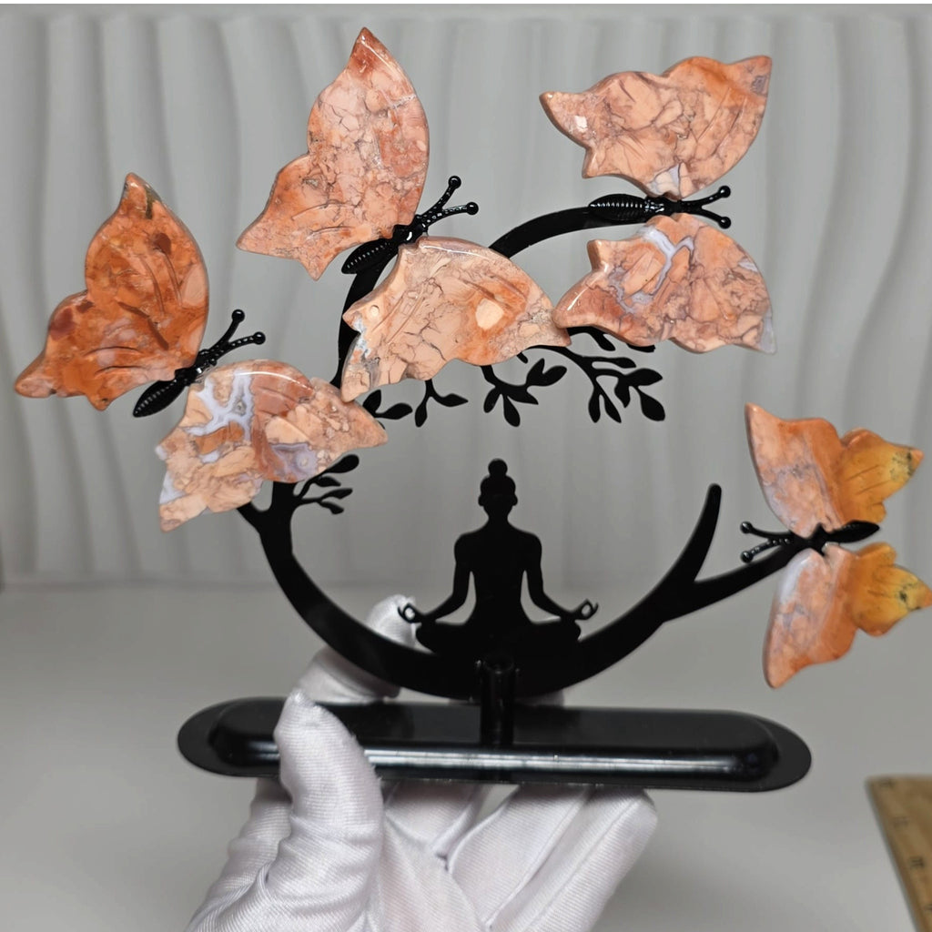 Cotton Candy Butterfly Tree held in a gloved hand for scale
