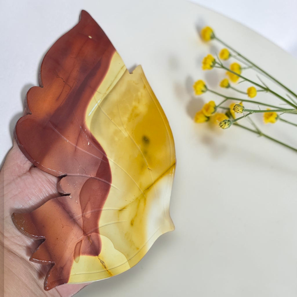 Close-up of the burgundy and golden yellow Mookaite jasper butterfly wings