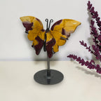 Mookaite Jasper butterfly display from another angle