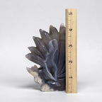 Flower Agate Nine Tails Fox size reference - height 4.5 inches