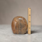 Polished peach-brown freeform crystal next to measuring ruler, oval shape
