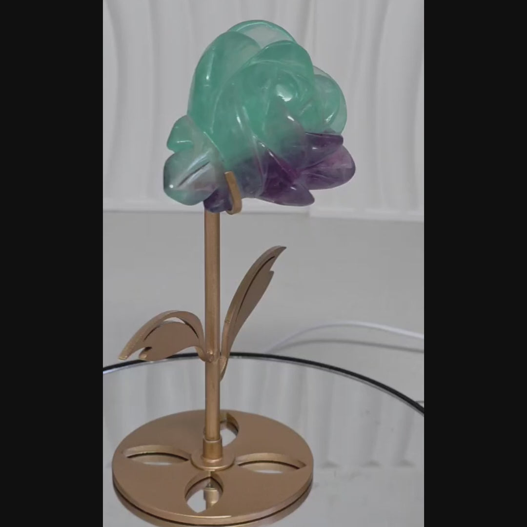 Rainbow Fluorite Rose Carving with Gold Stand