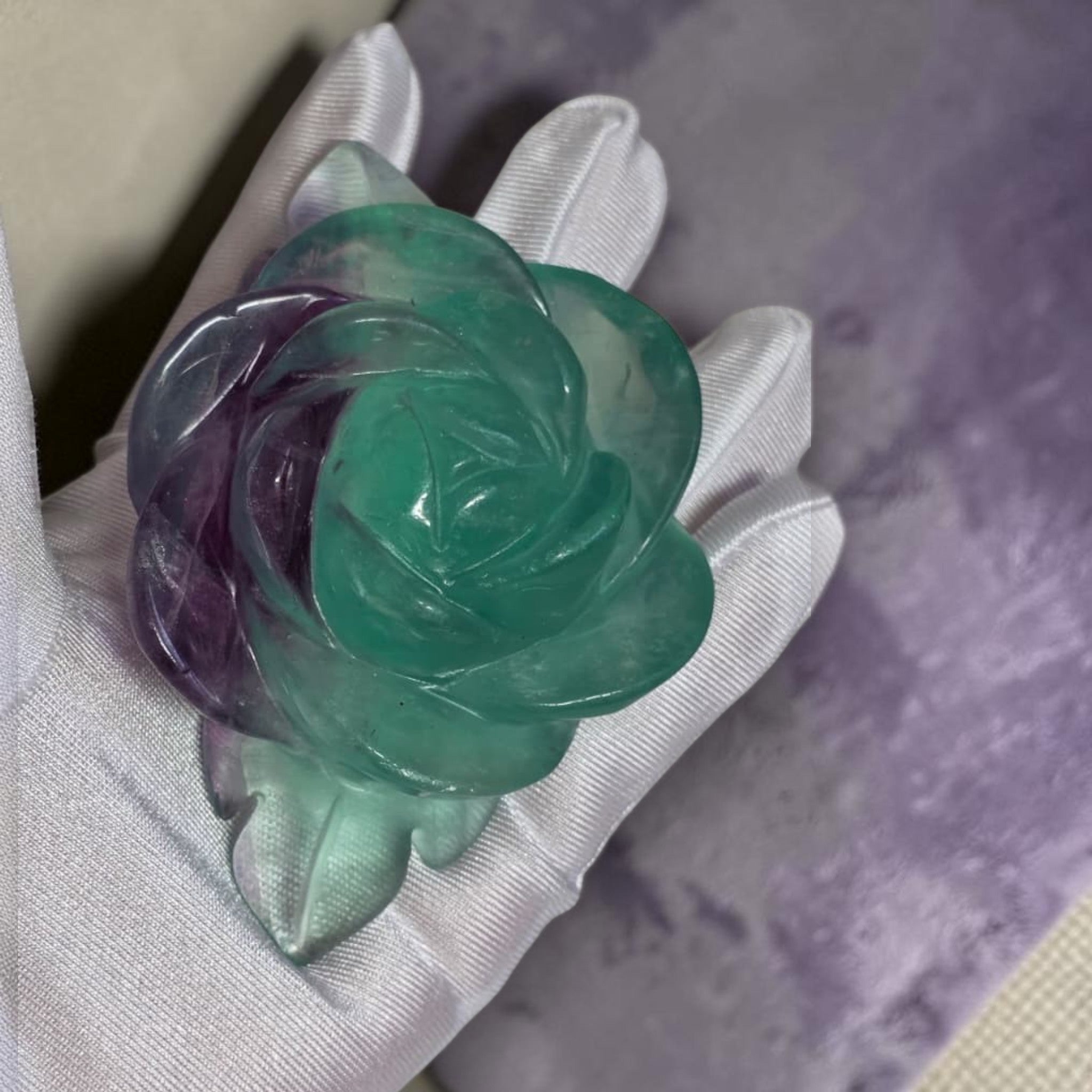 Rainbow fluorite rose carving held in gloved hand showing purple and green color zoning