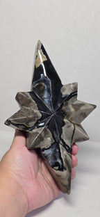 Polaris star crystal carving held in hand, dark blue with cream stone highlights
