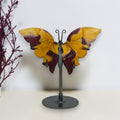 Small yellow and burgundy Mookaite Jasper butterfly on a dark metal stand