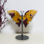 Small yellow and burgundy Mookaite Jasper butterfly on a dark metal stand