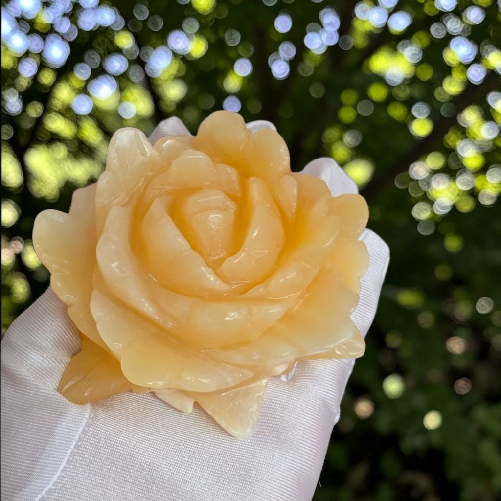 Yellow calcite rose carving held in gloved hand showing translucent honey-gold color