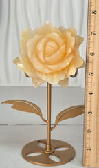 Yellow calcite rose carving with ruler showing approximately 7.5 inches tall with gold stand