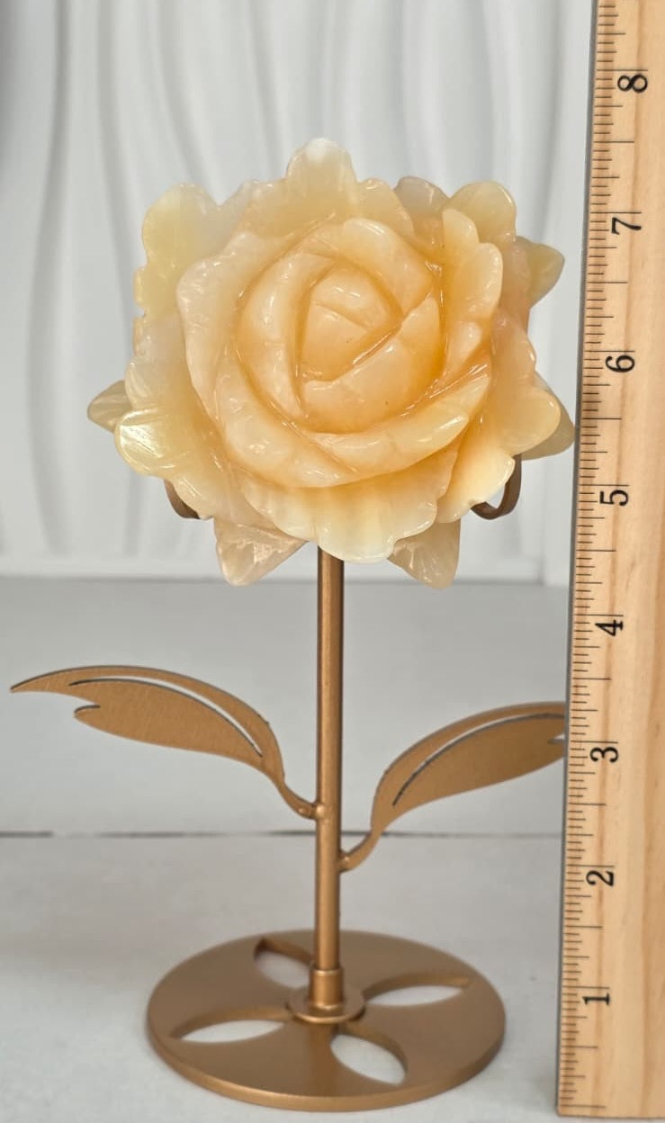 Yellow calcite rose carving with ruler showing approximately 7.5 inches tall with gold stand