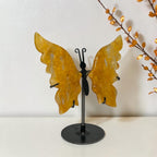 Side view of the Golden Healer quartz butterfly